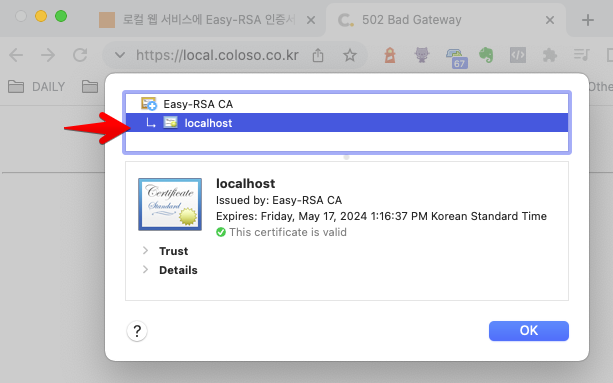 certified localhost in nginx